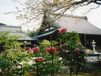 総持寺のボタン