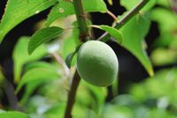 陶芸の里 昨今(画像クリックで地図画面へ)